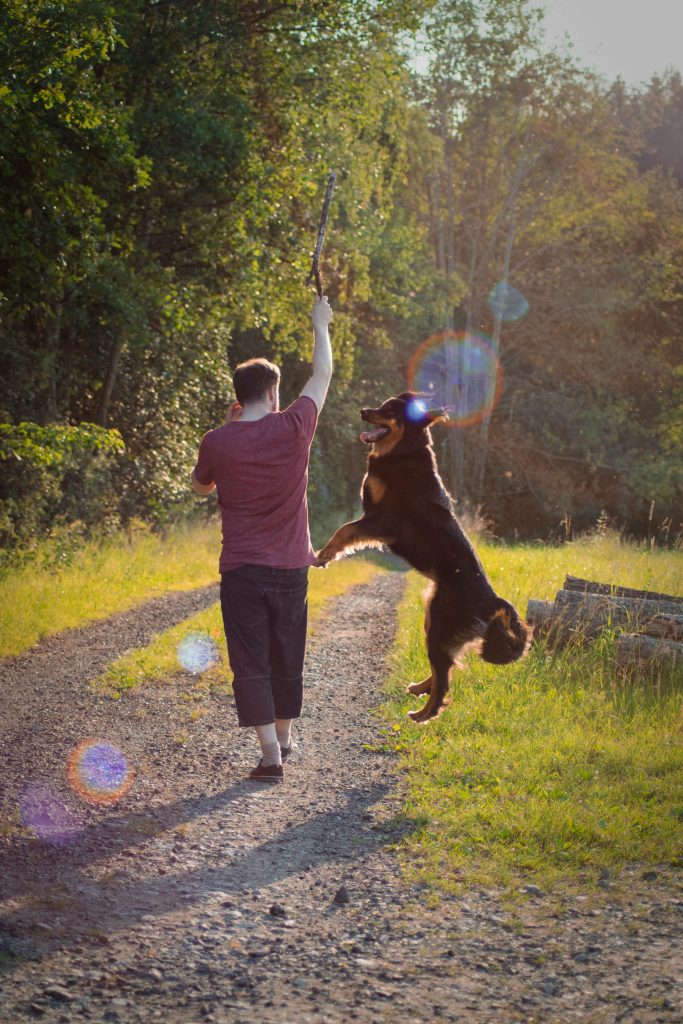 How Dogs Perceive Time